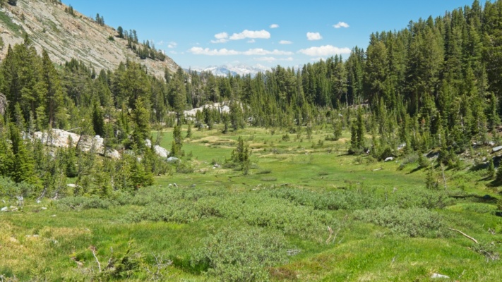 Wandering through these meadows marks the first off-trail hiking of the trip! sierra high route superior lake meadow