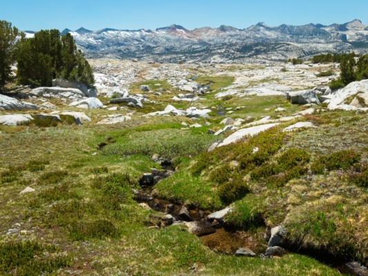 This afternoon's walk is easy and arguably beautiful, but it's hard to appreciate under the hot sun and while being swarmed by mosquitoes sierra high route cross country