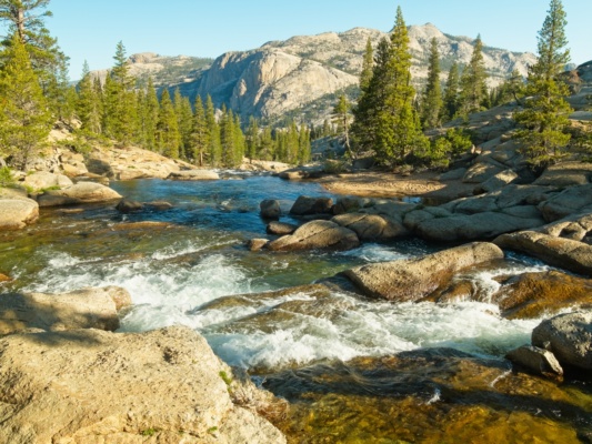 Warm morning light illuminates the Yosemite landscape surrounding the Tuolumne River pacific crest trail tuolumne river