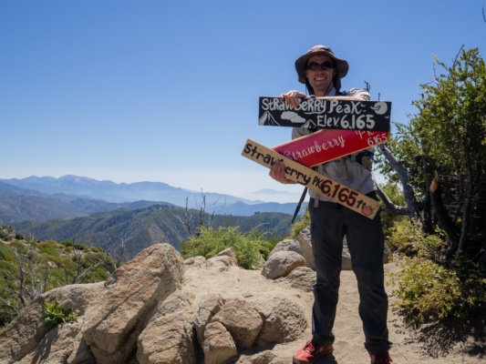 There are several signs at the summit... take your pick! Photo credit: Daniel strawberry peak summit