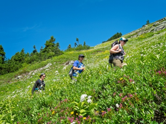 Carson, Josh, and Katie trekking through the wildflowers cascade pass sahale glacier