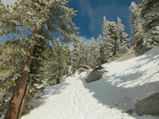 After leaving the PCT, we follow the Deer Springs Trail toward Little Round Valley san jacinto wilderness