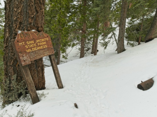 A little over a mile up the trail, we enter the wilderness area san jacinto wilderness