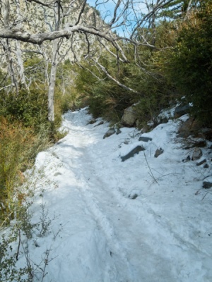 The Upper Sam Merrill Trail is completely covered in snow but is mostly flat upper sam merrill trail