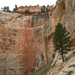 The red cliffs are streaked with black and white zion national park west rim trail