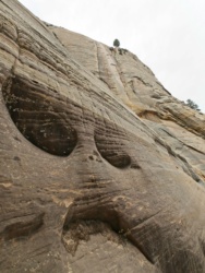 What a face! zion national park west rim trail