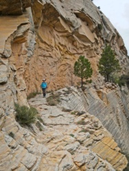 Another view of our cliffside trail zion national park west rim trail