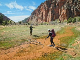 Kim crosses the creek zion national park hop canyon