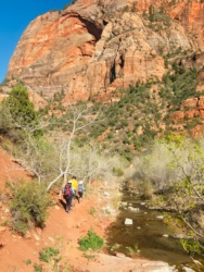 We travel upstream to find a spring where we can gather clean water zion national park la verkin creek