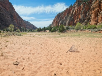The sand continues... pretty to look at, but a pain to walk through zion national park hop canyon