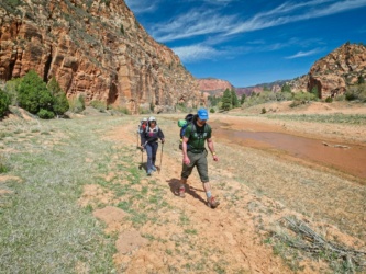 Sam, Kim, and Diane walking along the creek zion national park hop canyon