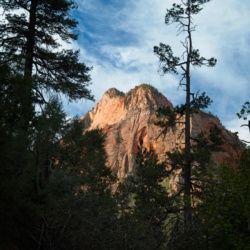 Canyon Walls zion national park