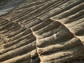 A strange rock formation that looks like a pile of logs zion national park geology