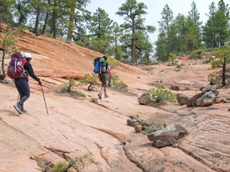The path leads straight up these pink slabs zion national park backpacking