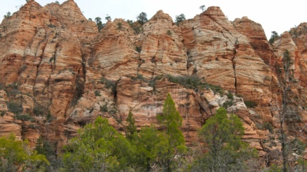 We're all puzzled at how the crisscrossing grooves formed in these cliffs zion national park geology
