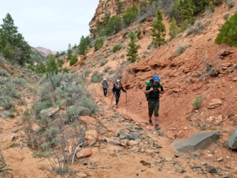 The trail soon climbs out of Hop Canyon via a series of rocky switchbacks zion national park