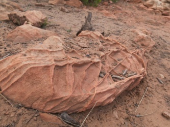 This rock looks like it's been through a waffle iron zion national park geology