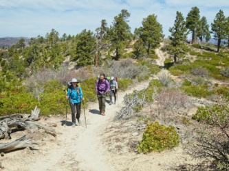 Diane, Sam, and Kim trekking along the ridge zion national park west rim trail