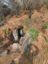 A mere trickle of water, but enough to fill our bottles zion national park