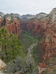 A view up Zion Canyon from Angels Landing zion canyon