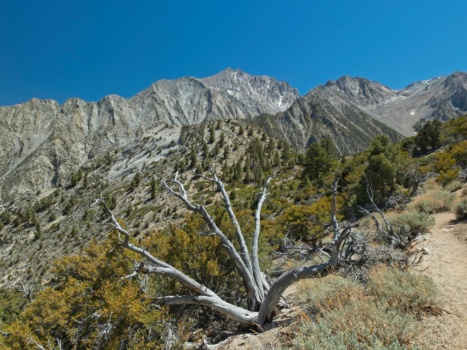 The first real look at Mount Williamson from the top of the many, many switcbacks mount williamson