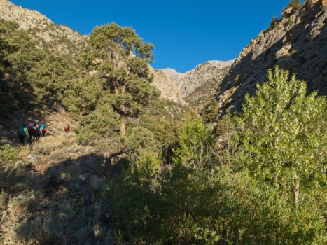 The group begins the trek up the trail in the cool morning hours shepherd pass trail