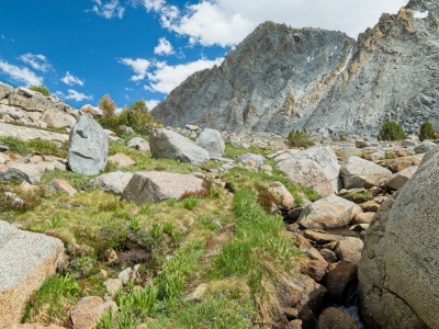 A use trail through the grass on Darwin Bench darwin bench