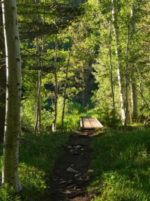 The trail to Lamarck Lakes crosses Bishop Creek bishop creek