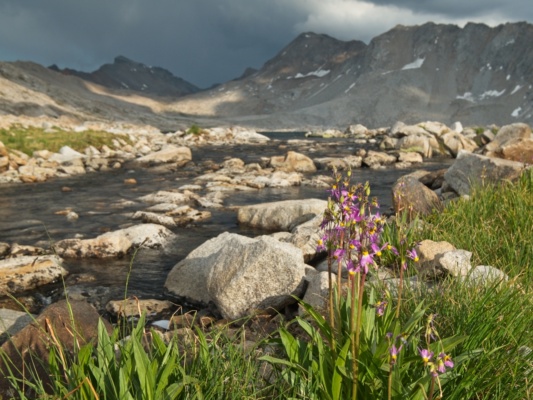 Some pretty shooting stars beside the Wanda Lake outlet creek wanda lake shooting stars