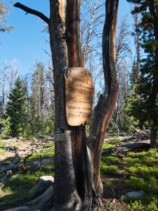 We enter the Bridger Wilderness a few miles down the trail wind river range bridger wilderness