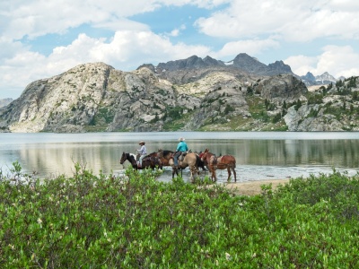 A team of pack horses (and mules) on their way back toward the trailhead wind river range island lake