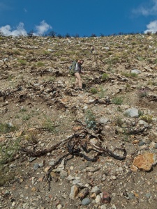 Alex and Kim navigate the loose, dusty switchbacks red lake trail