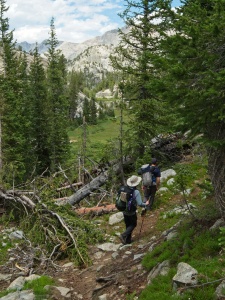 Daniel and Josh bushwhack through fallen trees on the Highline Trail wind river range highline trail