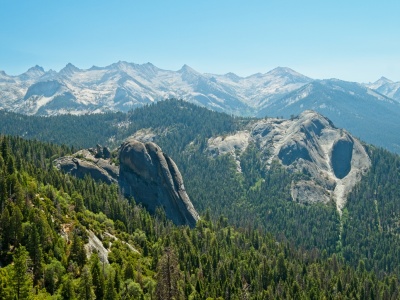 The "little blue dome" protrudes from the forest high sierra trail