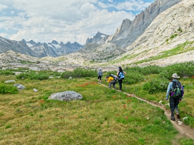 A common occurrence today: someone stooped down to photograph the flowers wind river range titcomb basin