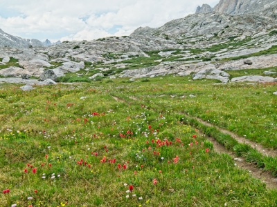 The hype surrounding Titcomb Basin is well-deserved - it's beautiful here wind river range titcomb basin