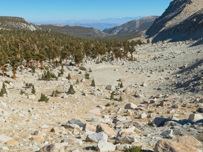 I thoroughly enjoy walking cross-country through these open meadows and airy forests sierra nevada mountains