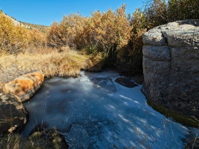 Golden willows and blue ice autumn