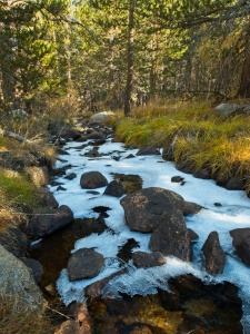 An icy crust covers much of the shaded creek icy creek