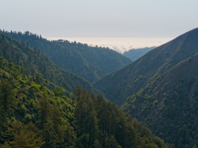 Just a few miles into the wilderness, we climb above and away from the clouds blanketing the coast pine ridge trail