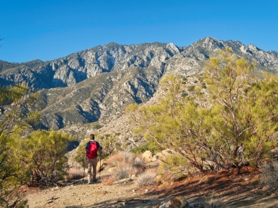 Alex strolls along the Skyline Trail toward Mount San Jacinto skyline trail