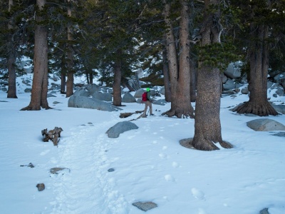 A lovely winter walk a few hundred feet below the summit of Mount San Jacinto san jacinto peak trail