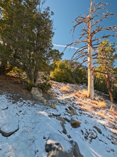There's snow up above 7000 feet on the north-facing slopes skyline trail