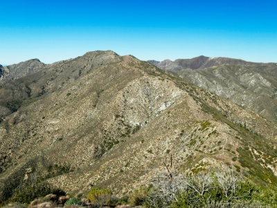 From Fox Mountain, the trail over to Condor Peak is clear condor peak trail
