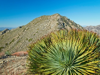 Approaching Condor Peak! condor peak trail