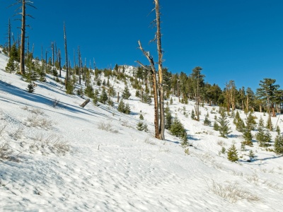 A bit of an uphill climb ahead, now in full sun ontario peak trail