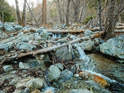 The creek near the bottom of Icehouse Canyon icehouse canyon