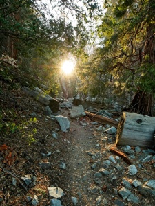 The sun peeks over the ridge icehouse canyon trail