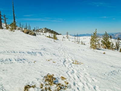 Here's a nice flat walk with expansive views ontario peak treail