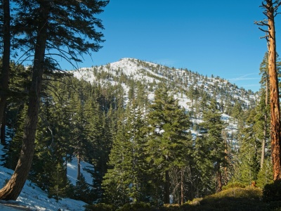 Look at all that snow! cucamonga wilderness